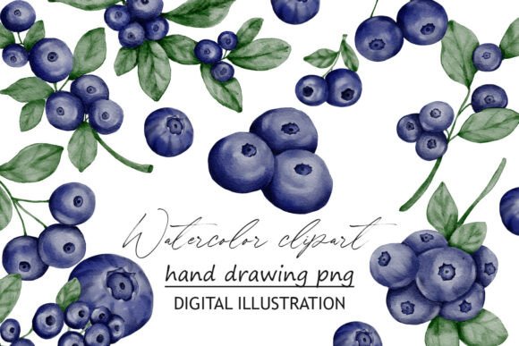 Elevating Visual Storytelling with Blueberry Berries Clipart Watercolor PNG Assets