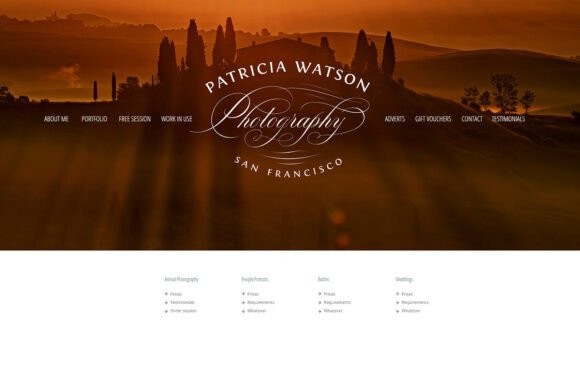 Professional Photographer Logo Watermark Guide
